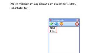 Produktvorstellung Lingcheck