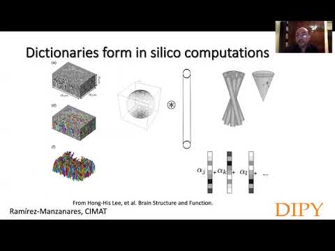 Dictionary learning based methods for brain microstructure estimation - Part 3