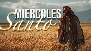 Mircoles Santo Todos Tenemos Un Poco De Judas