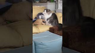 PeefStuck201701072
