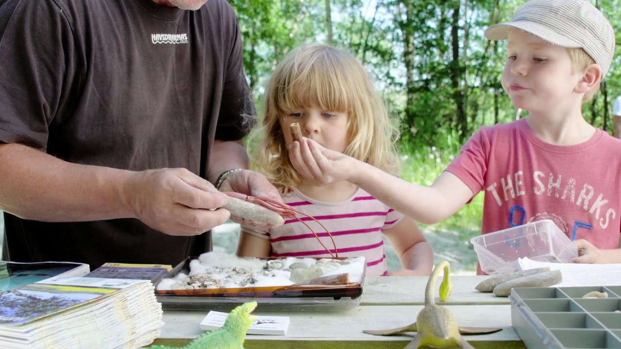 Mighty Sea Dragons and exciting fossil hunting in Bromölla