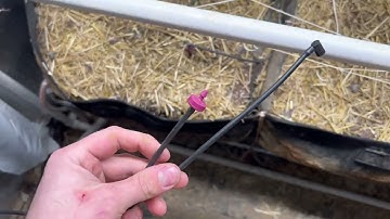How to fix a clogged Netafim spray emitter - Post harvest maintenance