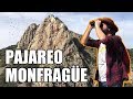 PAJAREO MONFRAGÜEÑO | Birdwatching en el Parque Nacional de Monfragüe