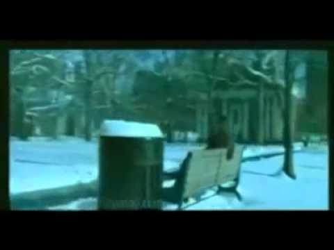 اسر بعيد عليا