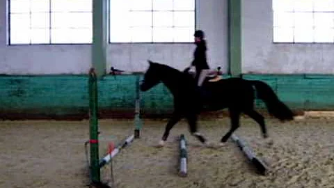The Show Must Go On - Gina & Titan