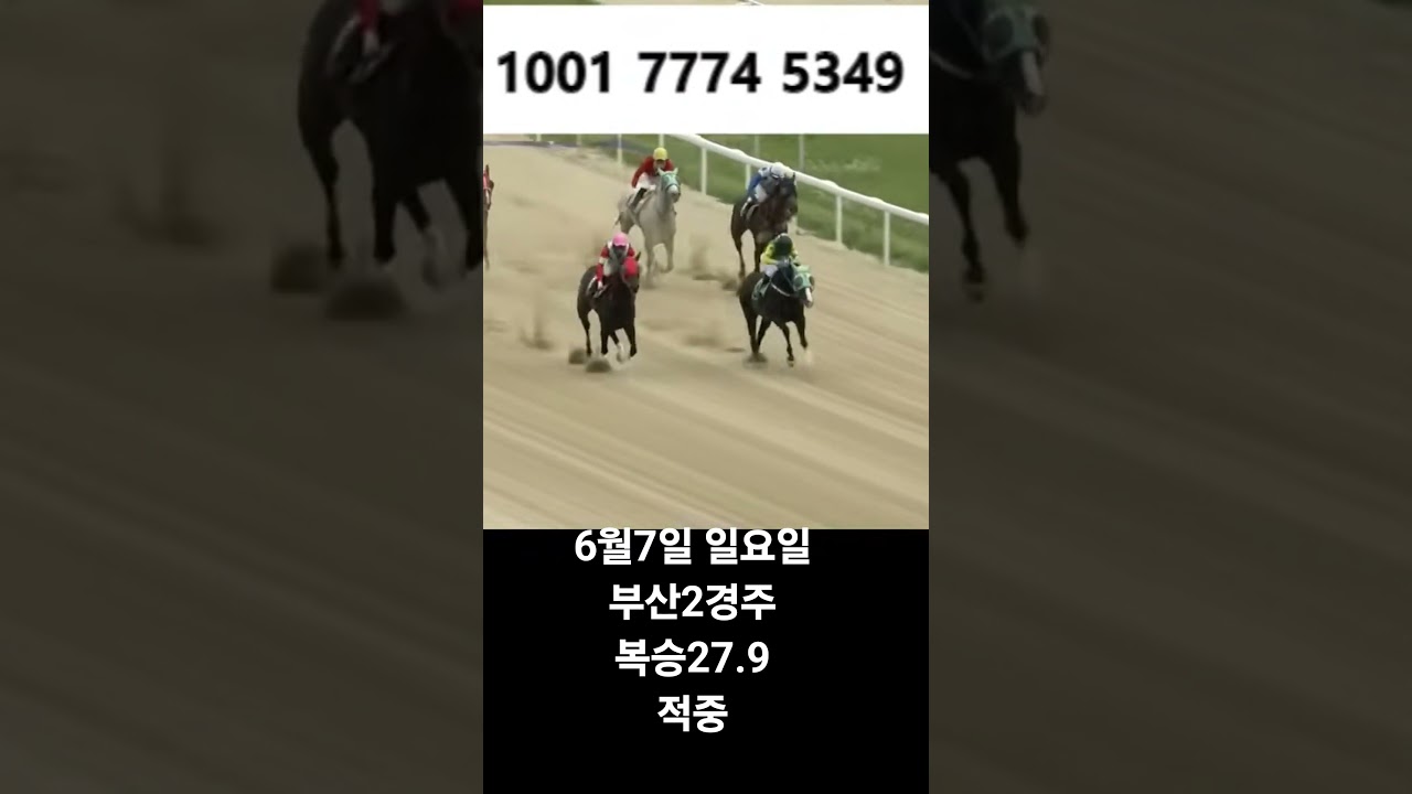 6월7일 부산2경주 복승 적중
