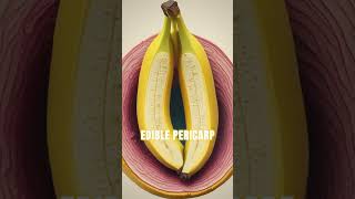 The Secret Life of Bananas screenshot 5