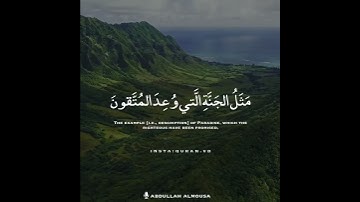 عبدالله الموسى من سورة الرعد || حالات واتس آب