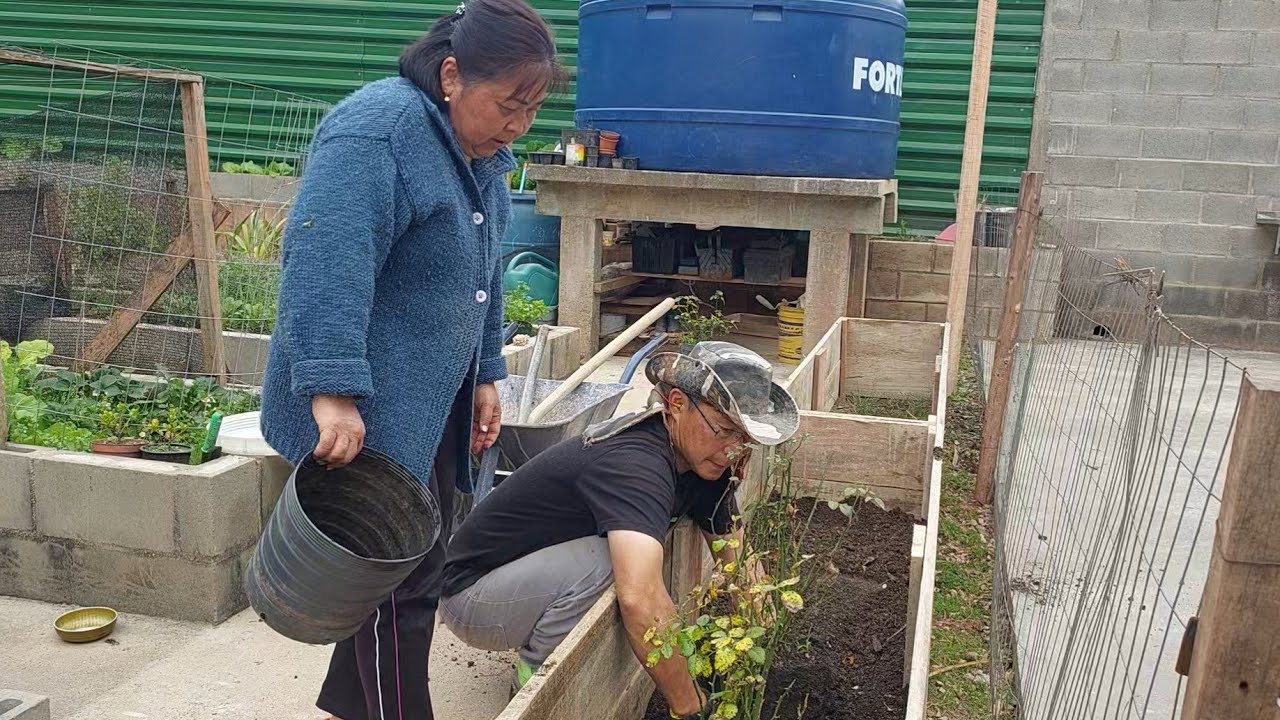 FIZEMOS UMA FLOREIRA PARA PLANTAR MINI ROSAS | fiz tofu e salada de salsão