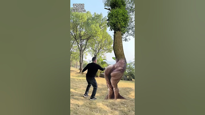 A tree that can recognize people  Magical tree  Mobile phone special effects