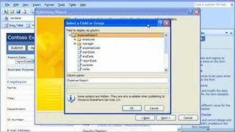 InfoPath 2007 Demo: Publish a form template as e-mail