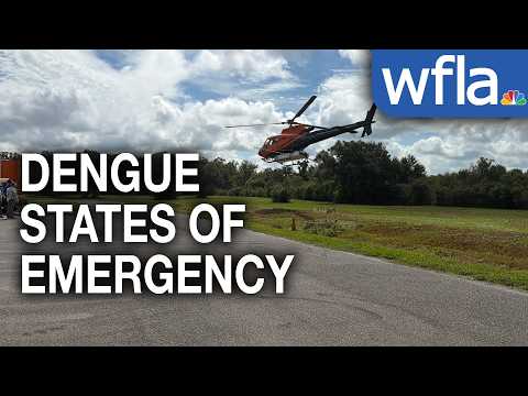3 Tampa Bay counties under dengue states of emergency