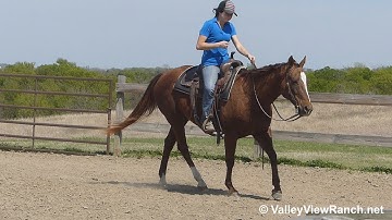 Smooth Dualing Girl - slow and easy jogs, smooth stops! - ValleyViewRanch.net