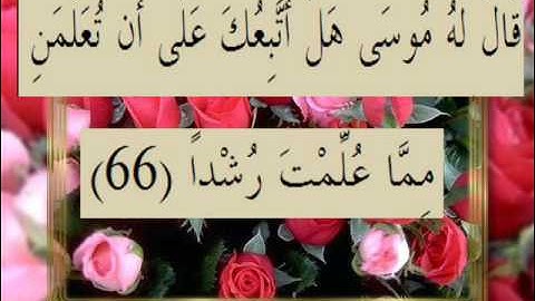 القرآن الكريم سورة الكهف الأية 66