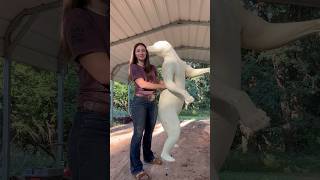 Taxidermy Supplies Unboxing A Mckenzie Order.