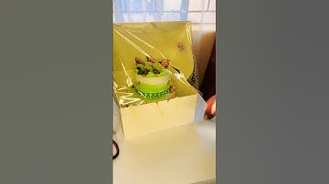 Cake packaging? #cakemaking #cakeboss #cakeshop #birthdaycake #cakeshopnearme #packingorders