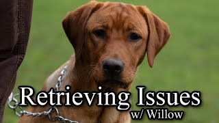 Retrieving Issues w/ Willow | Zoom Call w/ Nicole & Evan to Work Through Issues They're Having by DogBoneHunter 1,118 views 4 months ago 28 minutes