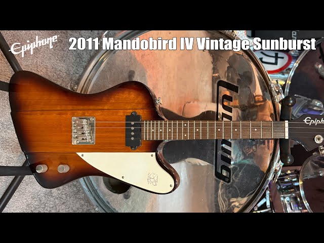 レア！ Epiphone Mandobird IVエレキマンドリン マンドバード Epiphone Mandobird Iv Electric Mandolin With Gigbag | eBay