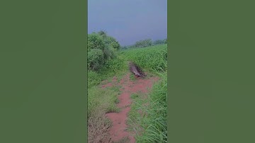 my first vlog 2023 | my first vlog today