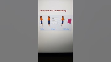 Data Modeling components