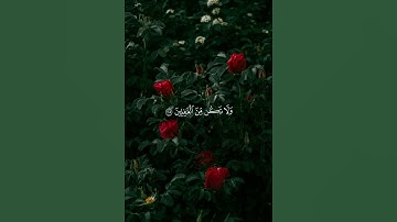 (و إذا قرئ القرآن فاستمعوا له وأنصتوا…)، سورة الأعراف من الآية 204- 206 ، بصوت الشيخ ياسر الدوسري