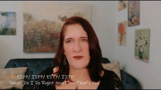 ⚡ Artisan Version ESFP ISFP ESTP ISTP: Not a Cage — A Toolkit | P1 Ep 2