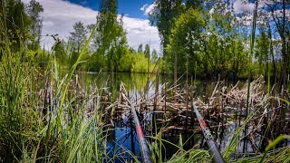 Ближче до Цивілізації:Їхав по Лісі і знайшов Болото біля Дороги-Чи БУДЕ КЛЬОВ?