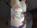 Homemade Greek Yogurt Greekyogurt Shortvideo Shorts Homemade Greek Yogurt Greekyogurt Shortvideo Shorts