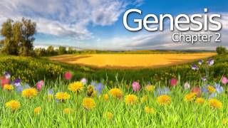 Verse by Verse - Genesis 2