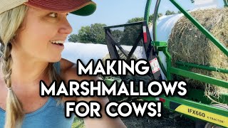 Come Watch Us Rake, Bale and Wrap Cow Marshmallows! (Sudan Hay 🙃 - And Drone Footage 🤩))