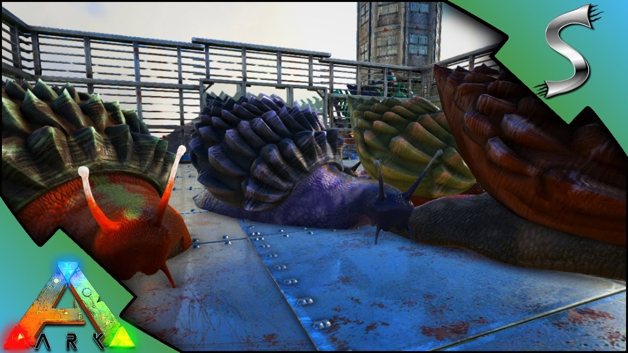 What do compy eat ark