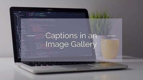 Adding Captions to Your Image Gallery with HTML & CSS