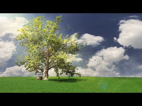 Capa de Free SpeedTree Tutorial: Build a basic tree from scratch - Pluralsight