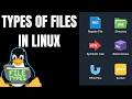 Types of Files in Linux | In Hindi | Linux