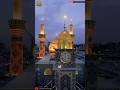 Roza e moula hussain as  new short tazimequtbulmadar33hussain viral karbala