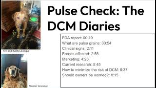 Pulse Check   The DCM Diaries