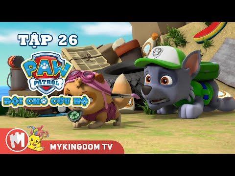 ĐỘI CHÓ CỨU HỘ PAW PATROL MINI | Tập 26: Rocky Tự Cứu Mình | Phim hoạt hình