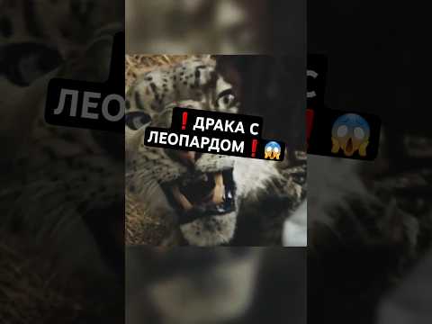 Это его територия❗ #кино #фильм #новыефильмы #film #movie #чтопосмотреть