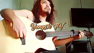 Maroon 5 - Animals ( Metal Cover )