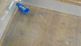 Upgrade: Swimming Hexbug Nano
