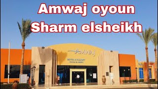 Amwaj oyoun sharm el-Sheikh review | تقييم كامل فندق امواج عيون شرم الشيخ | بوفيه امواج عيون ٢٠٢٣