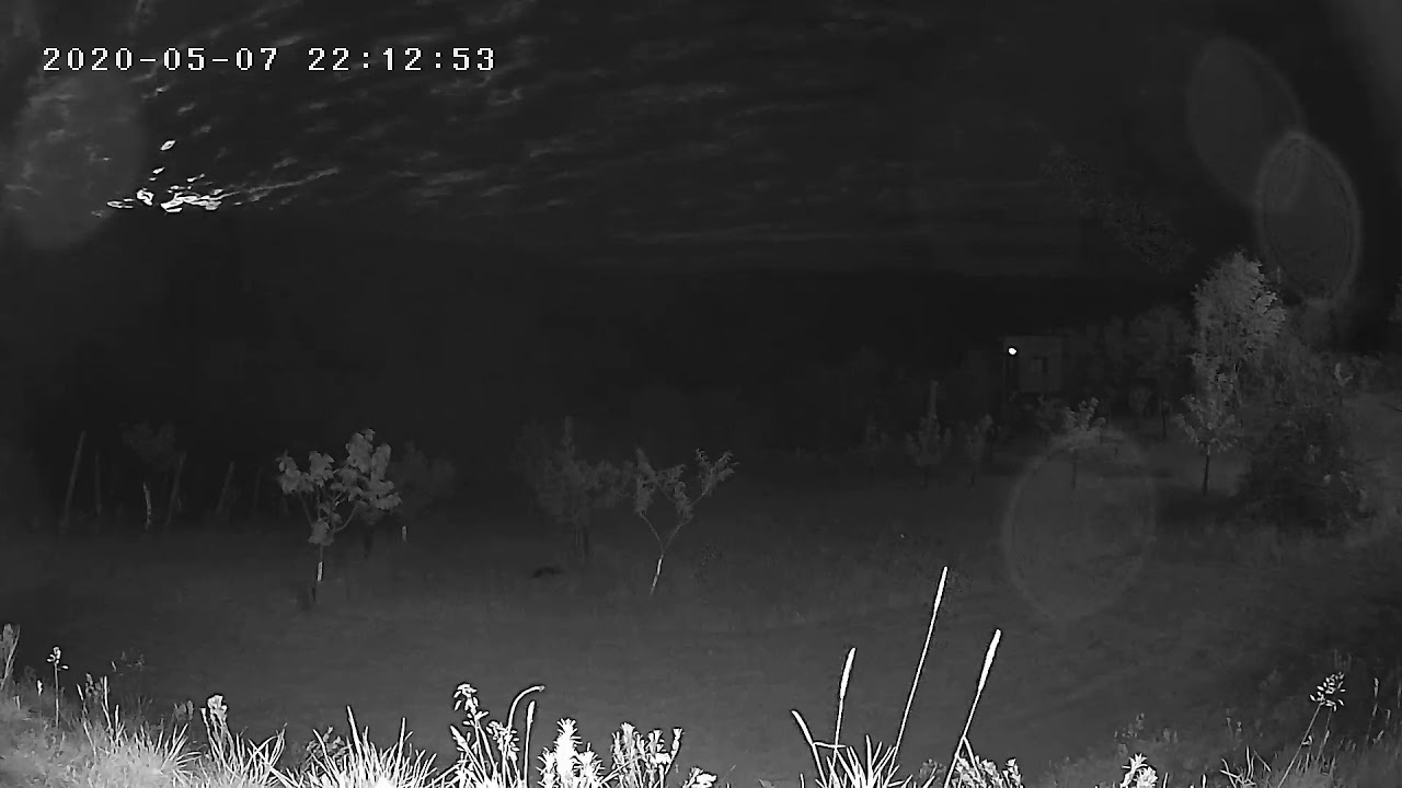 Heimvision HMD2 review: Night vision test