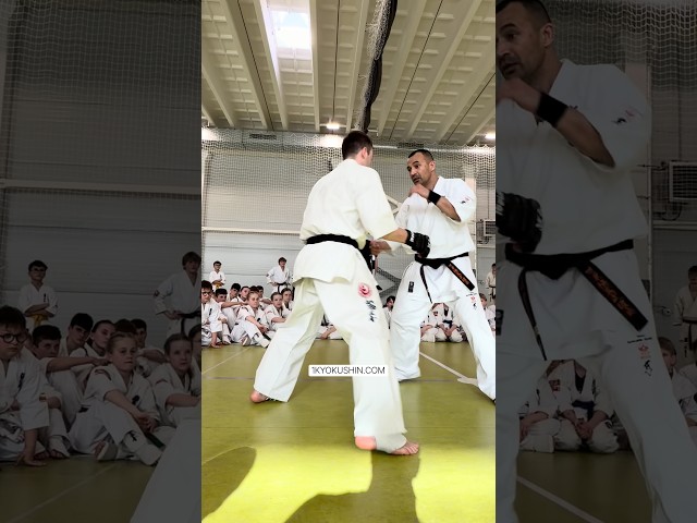 Baltic Fighting Camp 2026 #kyokushin #shinkyokushin #karate #1kyokushin #一極真 #極真会館
