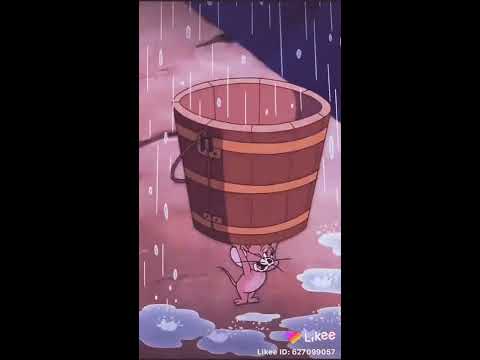 اول ما شفتك انا قلبي لقيته مال