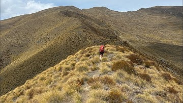 Te Araroa Day 11 : Macetown to Highland Creek Hut