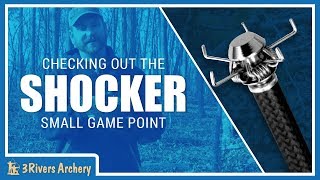 Shooting the Carbon Express Shocker Small Game Blunt with 3Rivers Archery screenshot 4
