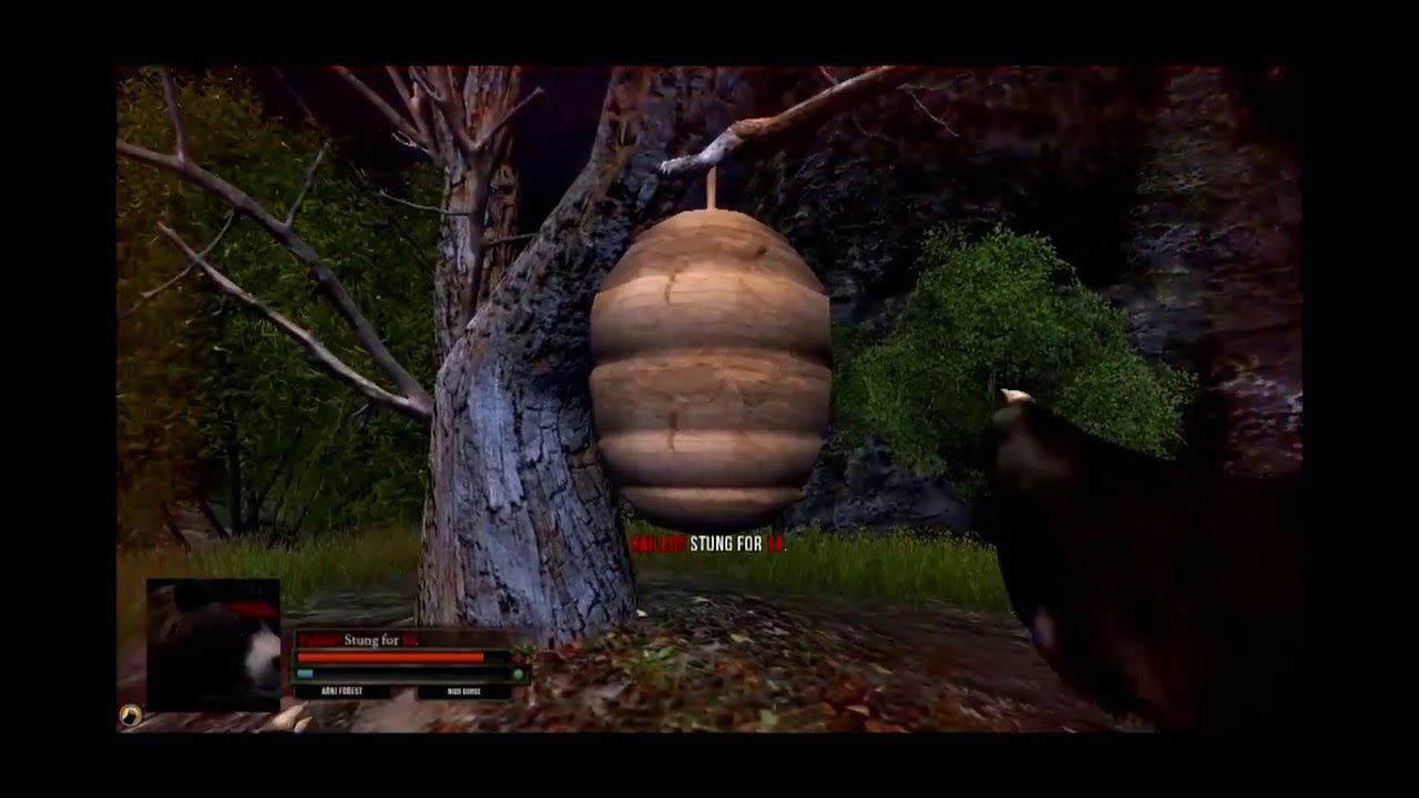 обзор Bear Simulator