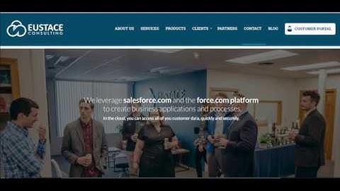 Salesforce Customer Portal - Eustace Consulting