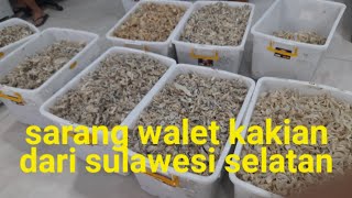 Sarang walet kakian warna micing kiriman dari sulawesi hanya 190kg