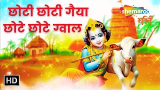 Watch on YouTube
